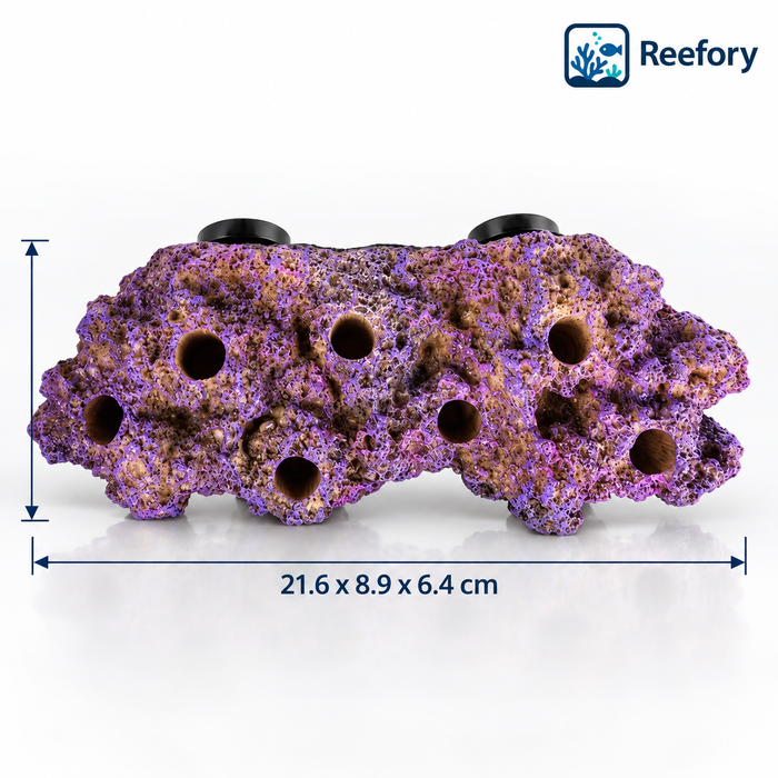 Magnetic Reef Frag Rock - image 1