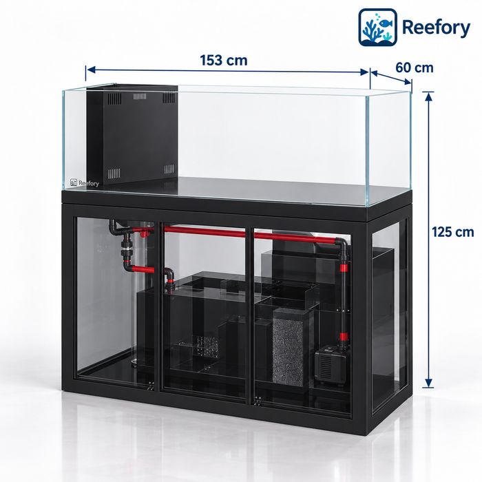 Rimless Marine Aquarium - image 1