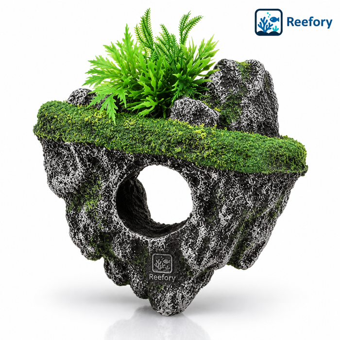 Floating Island Cave - image 1