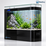 Curved Floor Aquarium - image 7