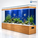 Ultra-Clear Glass Aquarium - image 10
