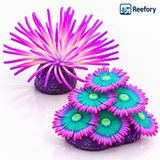 Glowing Silicone Coral - image 7