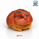 Clay Horned Frog - image 7