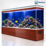 Ultra-Clear Glass Aquarium - image 11