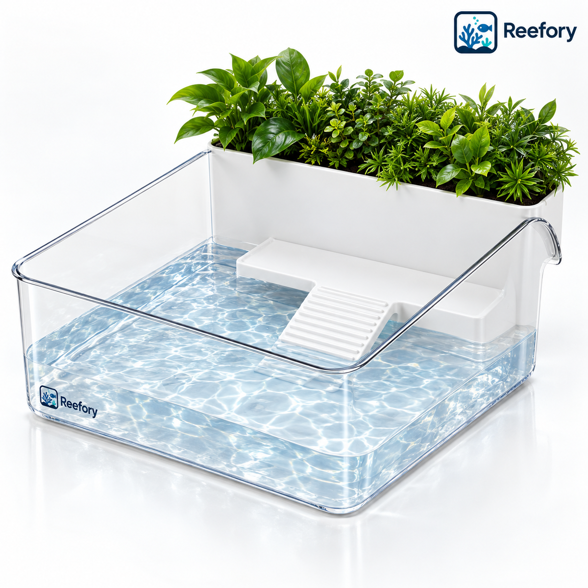 Clear Turtle Tank - image 1