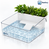 Clear Turtle Tank - image 1