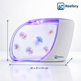 Jellyfish Desktop Tank - image 1