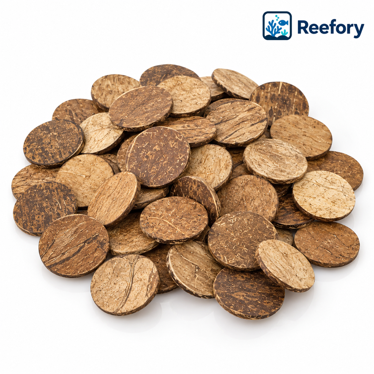 Coconut Shell Discs - image 1