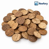 Coconut Shell Discs - image 1