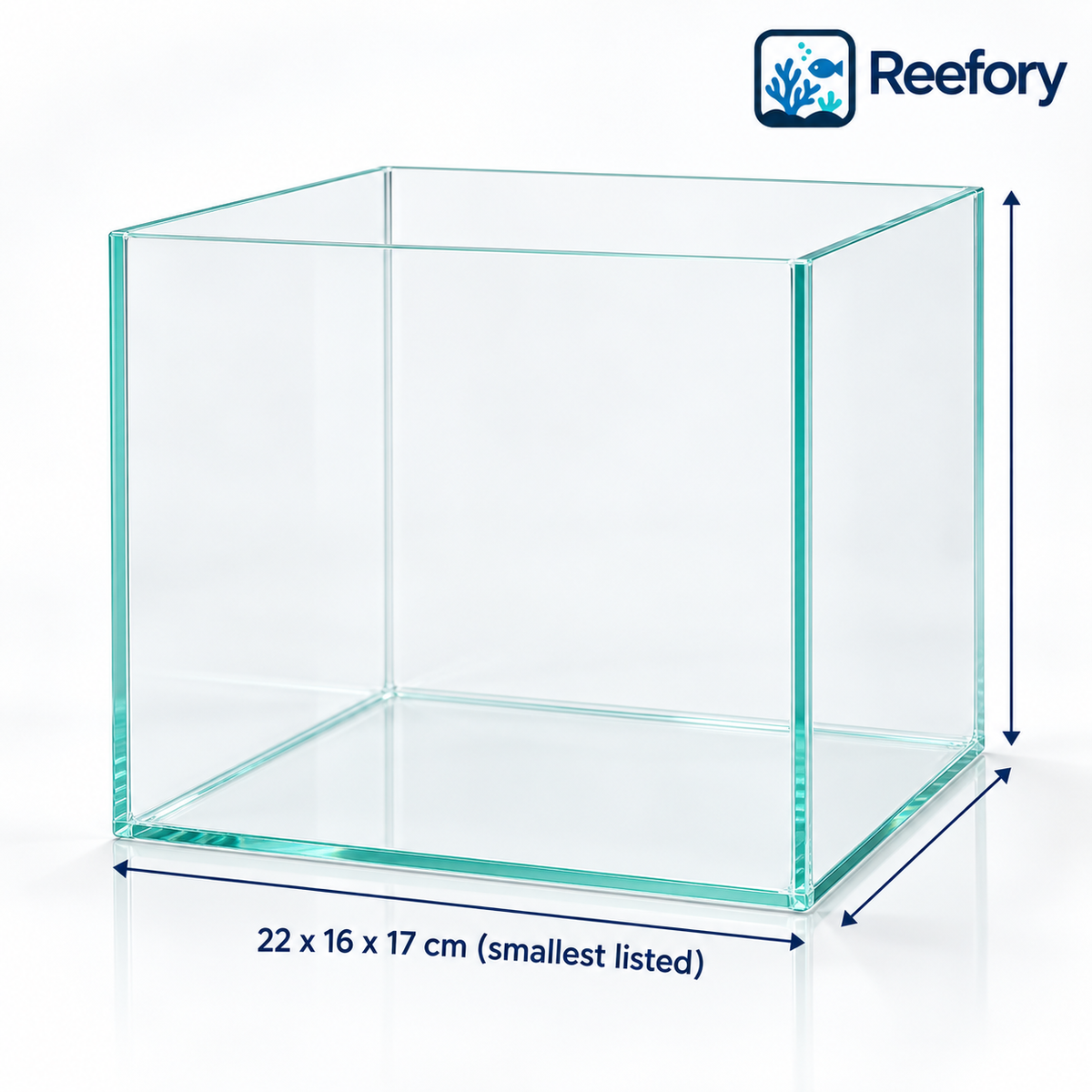 Glass Cube Aquarium - image 1