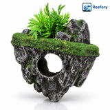 Floating Island Cave - image 1