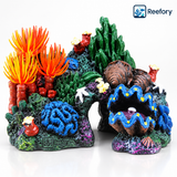 Coral Reef Island - image 1
