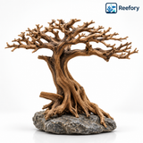 Moss Tree Driftwood - image 1