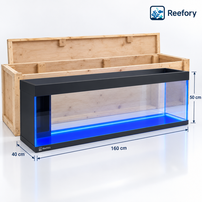Large Ultra-Clear Aquarium - image 1
