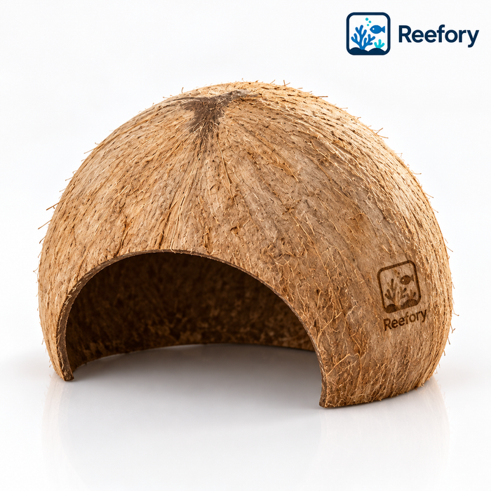 Coconut Shell Hut - image 1