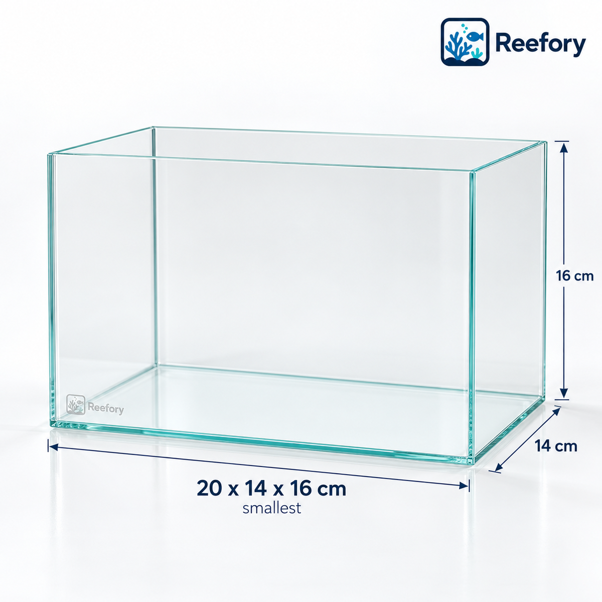 Rimless Glass Tank - image 1
