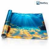 Sunlit Seabed Background - image 1