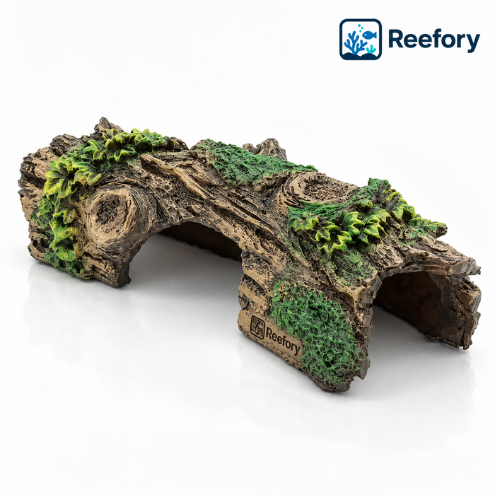 Hollow Log Cave - image 1