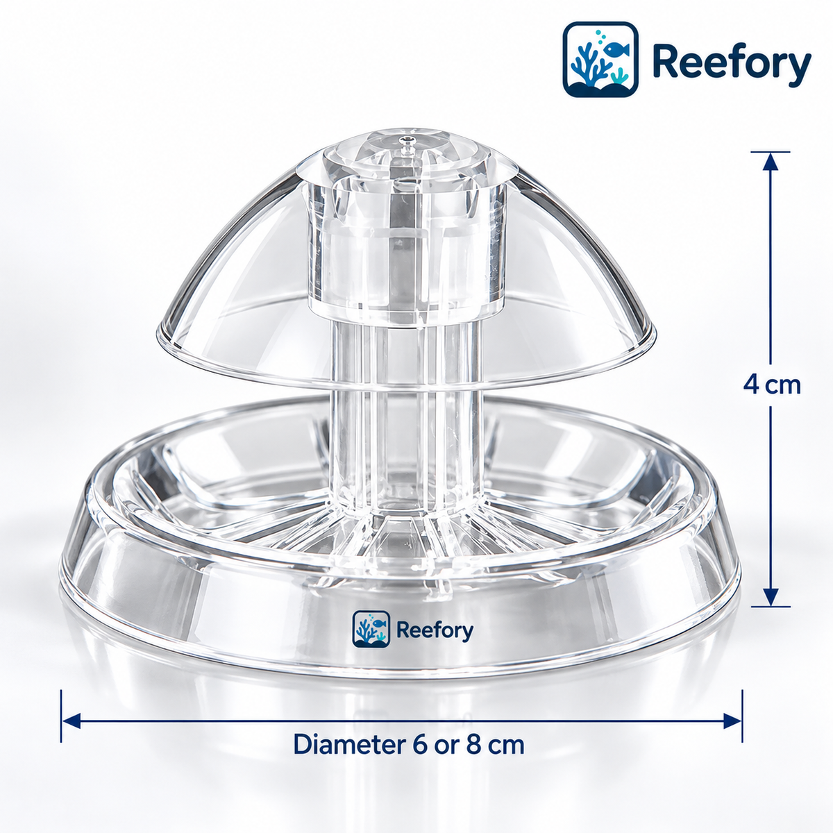 Snail Trap - image 1
