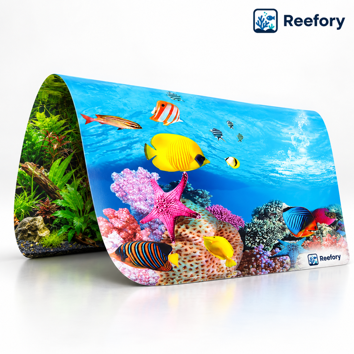 Double-Sided Tank Background - image 1
