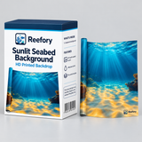 Sunlit Seabed Background - image 2