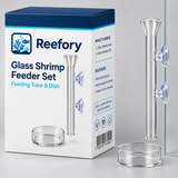 Glass Shrimp Feeder Set - image 2