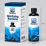 Nitrifying Bacteria - image 2