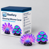Glowing Silicone Coral - image 2