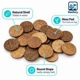 Coconut Shell Discs - image 3