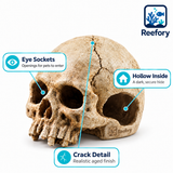 Resin Skull Hideout - image 3
