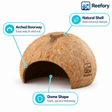 Coconut Shell Hut - image 3