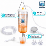 Brine Shrimp Hatchery - image 3