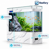 Curved Floor Aquarium - image 3