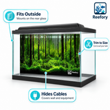 Underwater Forest Background - image 3