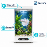 Smart Betta Tank - image 3