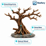 Moss Tree Driftwood - image 3