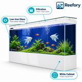 Ultra-Clear Glass Aquarium - image 3