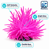 Silicone Sea Anemone - image 3