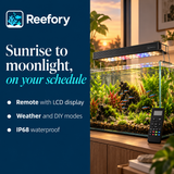 Full-Spectrum Remote LED - image 4