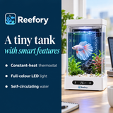 2L Smart Betta Tank - image 4