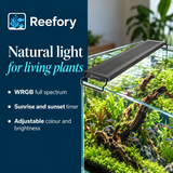 WRGB LED Aquarium Light - image 4