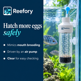 Fish Egg Tumbler - image 4