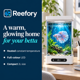 Smart Betta Tank - image 4