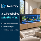 Large Ultra-Clear Aquarium - image 4