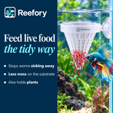 Live Worm Feeder Cone - image 4