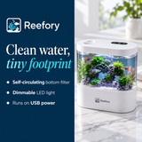 USB Mini Aquarium - image 4