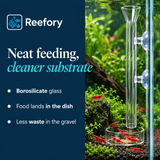 Glass Shrimp Feeder Set - image 4