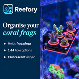 Acrylic Coral Frag Rack - image 4