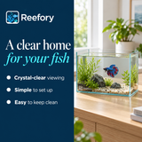 Rimless Glass Tank - image 4