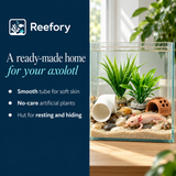 Axolotl Decor Set - image 4